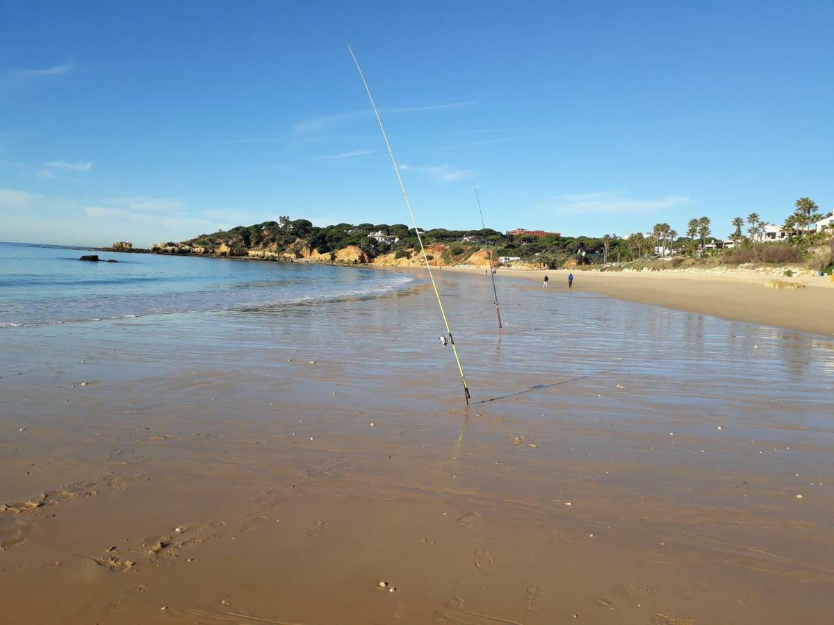 Sonia - Pateo Da Aldeia Lejlighed Albufeira Eksteriør billede